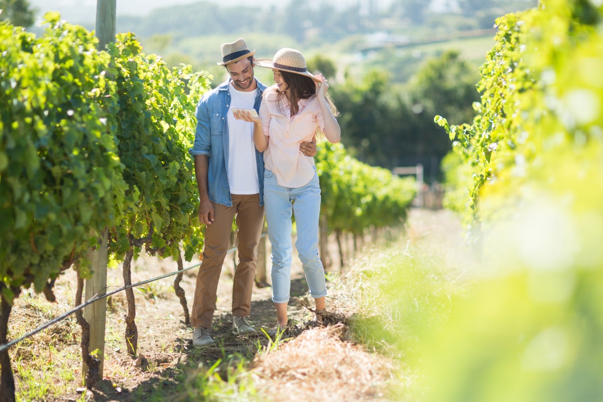 Wine & Dining experience